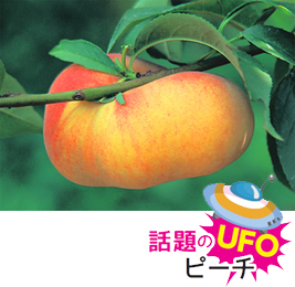 崓
